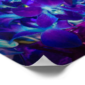 Lila und blaue Orchideen Poster (Ecke)