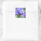 Lila und blaue Tallbär Iris Bloom Quadratischer Aufkleber (Tasche)