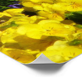 Lila und gelb poster (Ecke)