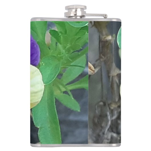 Lila- und Gelbblüte Flachmann (Rückseite)