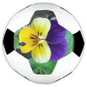 Lila- und Gelbblüte Fußball (Gedreht)