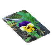 Lila- und Gelbblüte Magnet (Rechte Seite)
