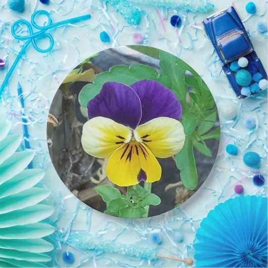 Lila- und Gelbblüte Pappteller (Party)