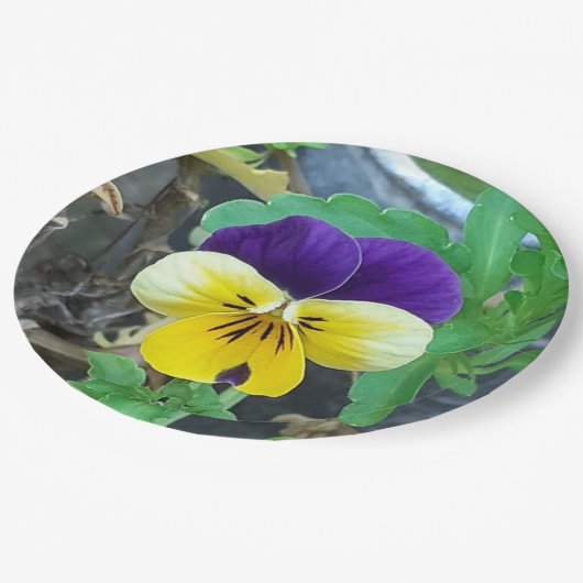 Lila- und Gelbblüte Pappteller (Schrägansicht)