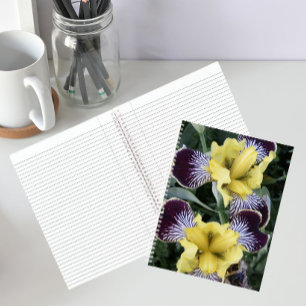 Lila und gelbe bartlose Schwertlilien Blumen Notizblock