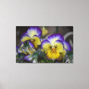 Lila und gelbe Blume gezackte Leinwand