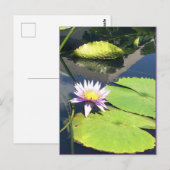 Lila und gelbe Blume Postkarte (Vorne/Hinten)