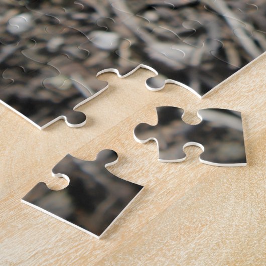 Lila und gelbe Crocus-Blume-Foto Puzzle (Seite)