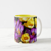 Lila und gelbe Crocus Blume Tasse (VorderseiteRechts)