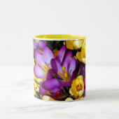Lila und gelbe Crocus Blume Tasse (Mittel)