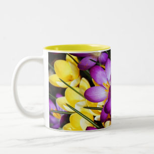 Lila und gelbe Crocus Blume Tasse