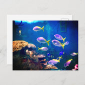 Lila und gelbe Fische Postkarte (Vorne/Hinten)