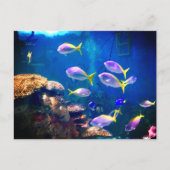 Lila und gelbe Fische Postkarte (Vorderseite)