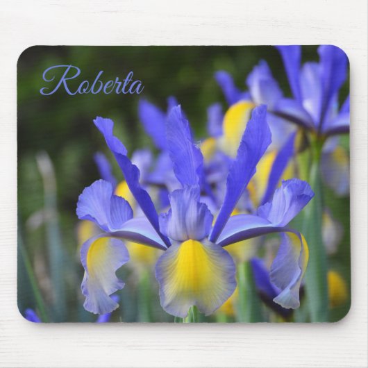 Lila und gelbe Iris *Personalisieren* Mousepad (Vorne)