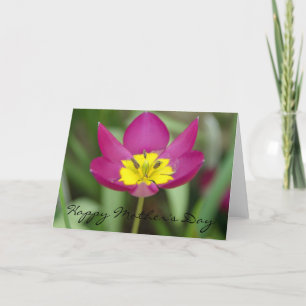 Lila und gelbe Karte der Blumen-Mutter Tages