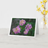 Lila und gelbe Lantana-Blume Karte (Gelbe Blume)