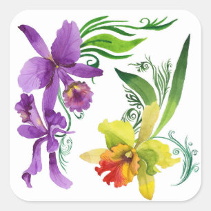 Lila und gelbe Orchideen-Blume Quadratischer Aufkleber