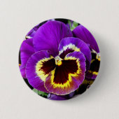 Lila und gelbe Pansy-Blume Button (Vorderseite)