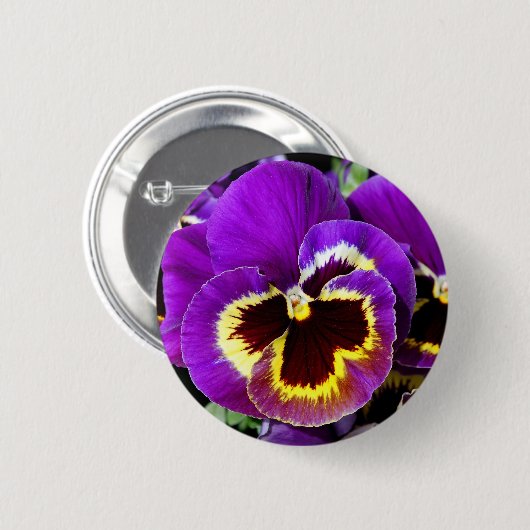 Lila und gelbe Pansy-Blume Button (Vorne & Hinten)
