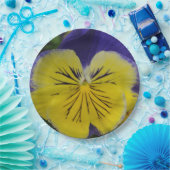 Lila und gelbe Pansy-Blume Pappteller (Party)