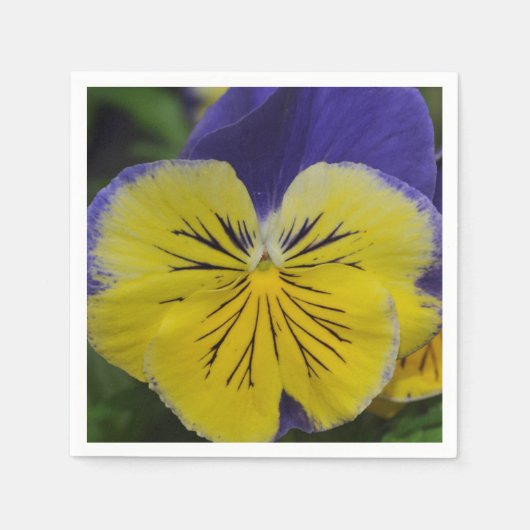 Lila und gelbe Pansy-Blume Serviette (Vorderseite)