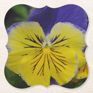 Lila und gelbe Pansy-Blume Untersetzer