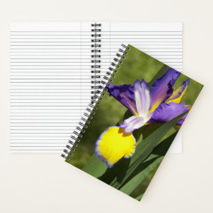Lila und gelbe sibirische Schwertlilie floral Notizblock