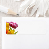 Lila und gelbe Tulissen Rücksendeadressen-Aufklebe (Insitu)