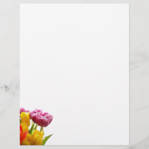 Lila und gelbe Tulpen Letterhead