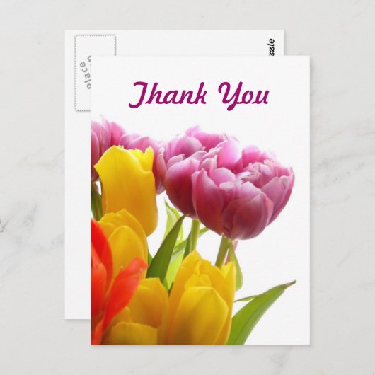 Lila und gelbe Tulpen Vielen Dank Postkarten (Vorne/Hinten)