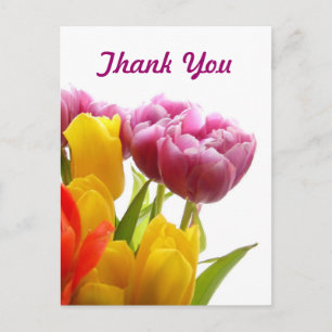 Lila und gelbe Tulpen Vielen Dank Postkarten