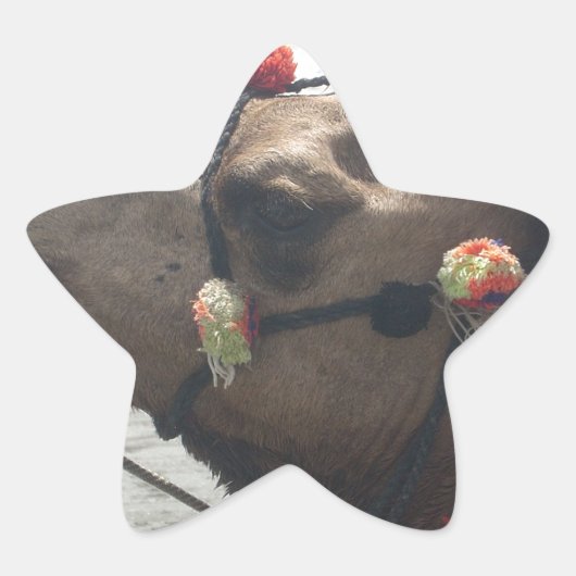 Lila und gelbes Kaleidoskop Stern-Aufkleber (Vorderseite)