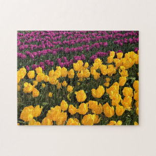 Lila und gelbes Tulip-Feld, Oregon Puzzle