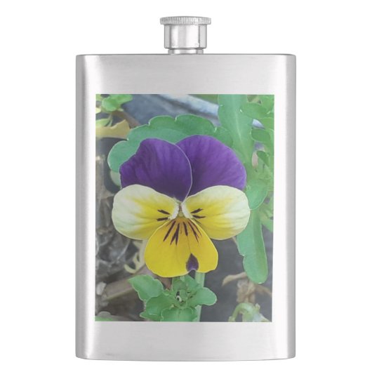 Lila- und gelbfarbener klassischer Kolben Flachmann (Vorderseite)