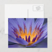 Lila und Gold-Blume Postkarte (Vorne/Hinten)