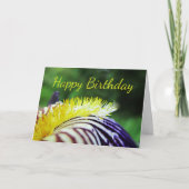 Lila und goldbärtige Iris zum Geburtstag Karte (Vorderseite)
