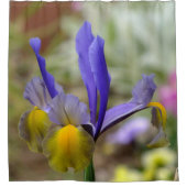 Lila und goldener Iris-Duschvorhang Duschvorhang (Vorderseite)