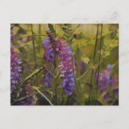 Lila und grüne arktische Lupine Postkarte