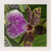 Lila und grüne gepunktete Orchidee Puzzle (Horizontal)