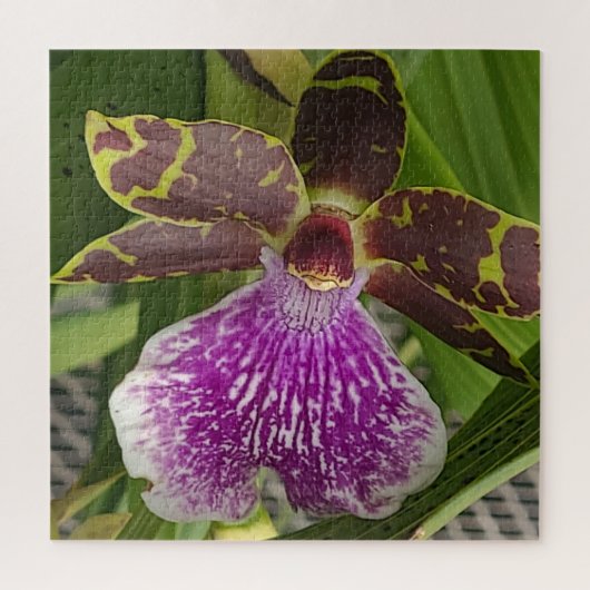 Lila und grüne gepunktete Orchidee Puzzle (Vertikal)