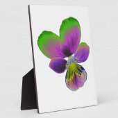 Lila und grüne Pansy Plaque Fotoplatte (Seite)