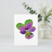 Lila und grüne Pansy Postkarte (Stehend Vorderseite)