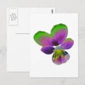 Lila und grüne Pansy Postkarte (Vorne/Hinten)