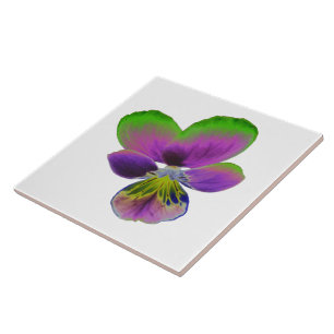 Lila und grüne Pansy Tile Fliese