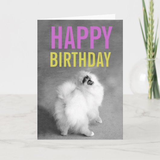 Lila und grüne Spitz Happy Birthday Card Karte (Vorderseite)