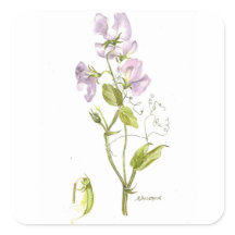 Lila und grüne Wasserfarbe