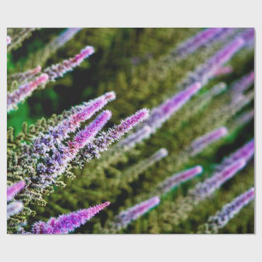 Lila und grüne Wildblumen Geschenkpapier (Flach)