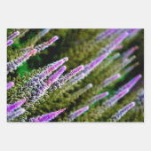 Lila und grüne Wildblumen Geschenkpapier Set (Vorderseite 2)