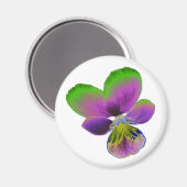 Lila und grünes Pansy Magnet (Vorderseite/Rückseite)