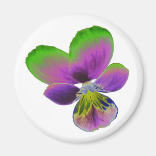 Lila und grünes Pansy Magnet